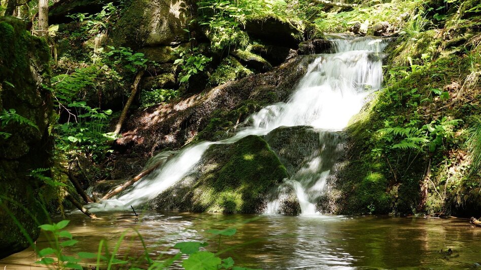 Theme path Stenzengreither Theme Trail - Touren-Impression #2.1 | © Oststeiermark Tourismus