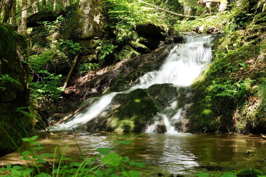 Theme path Stenzengreither Theme Trail - Touren-Impression #1 | © Oststeiermark Tourismus