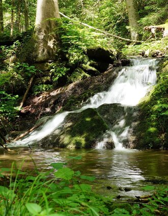Mühlgraben, Eastern Styria | © Oststeiermark Tourismus