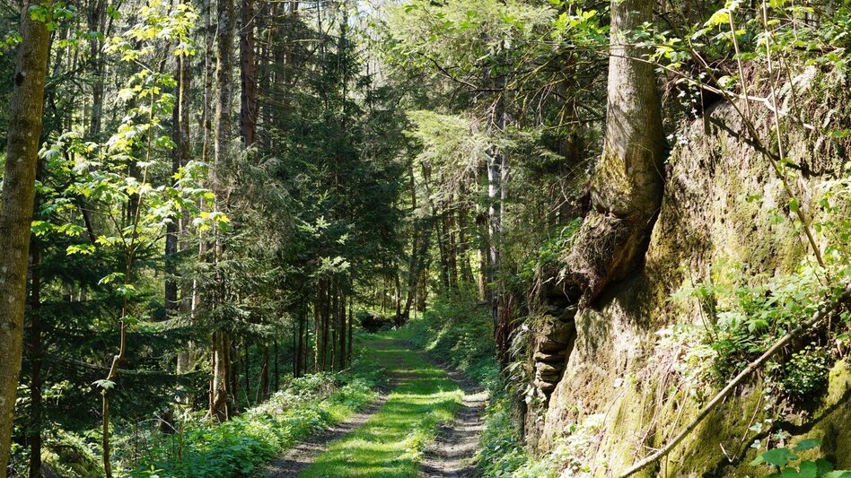 Theme path Stenzengreither Theme Trail - Touren-Impression #2.2 | © Oststeiermark Tourismus