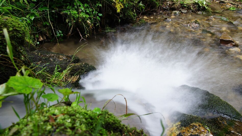 Theme path Stenzengreither Theme Trail - Touren-Impression #2.3 | © Oststeiermark Tourismus
