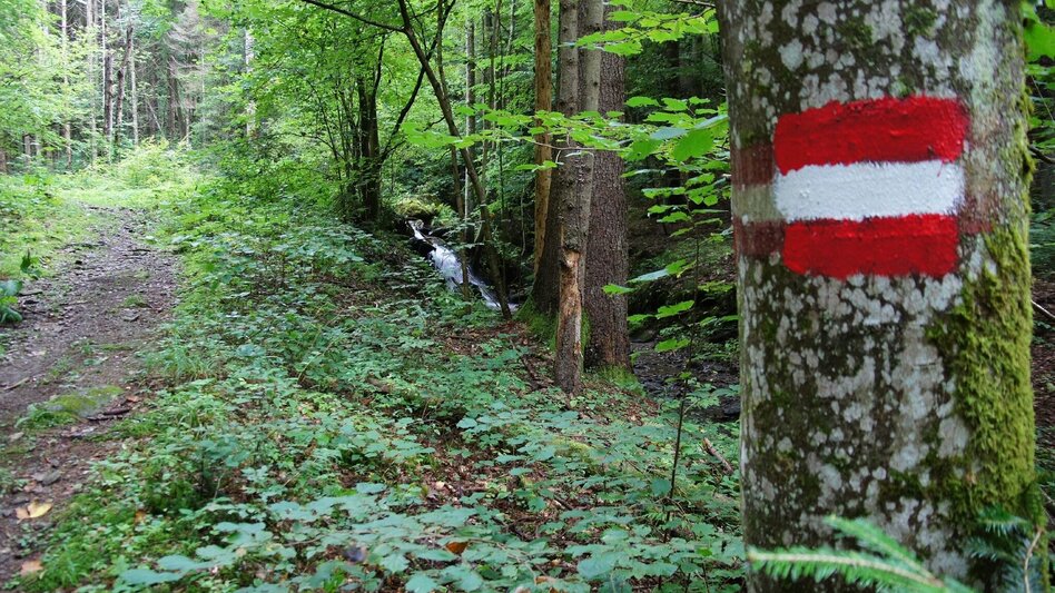 Theme path Stenzengreither Theme Trail - Touren-Impression #2.4 | © Oststeiermark Tourismus