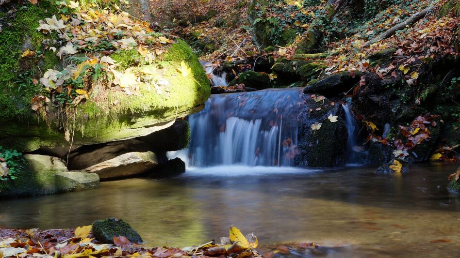Theme path Stenzengreither Theme Trail - Touren-Impression #2.6 | © Oststeiermark Tourismus