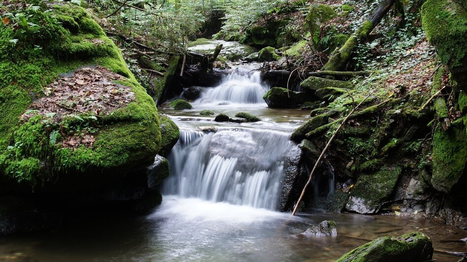 Theme path Stenzengreither Theme Trail - Touren-Impression #2.7 | © Oststeiermark Tourismus