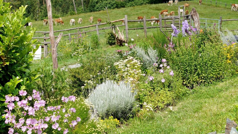 Theme path Stenzengreither Theme Trail - Touren-Impression #2.10 | © Oststeiermark Tourismus