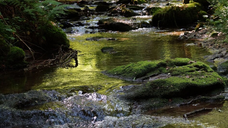 Theme path Stenzengreither Theme Trail - Touren-Impression #2.15 | © Oststeiermark Tourismus