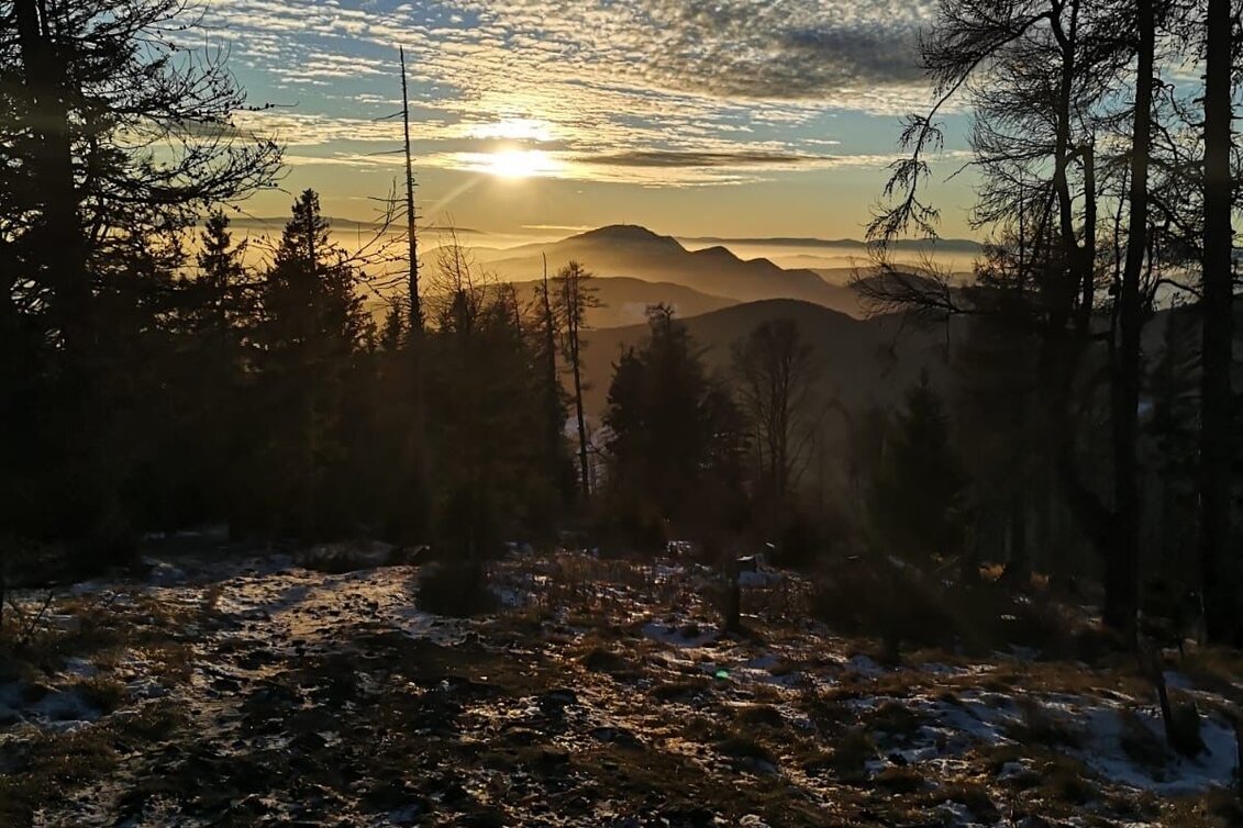 Winter Hiking Winter hike on the Zetz - Touren-Impression #1 | © Oststeiermark Tourismus