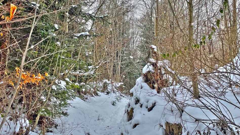 Winter Hiking Winter hike on the Zetz - Touren-Impression #2.3 | © Oststeiermark Tourismus