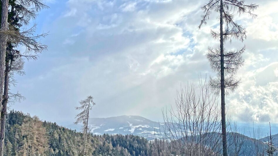 Winter Hiking Winter hike on the Zetz - Touren-Impression #2.7 | © Oststeiermark Tourismus