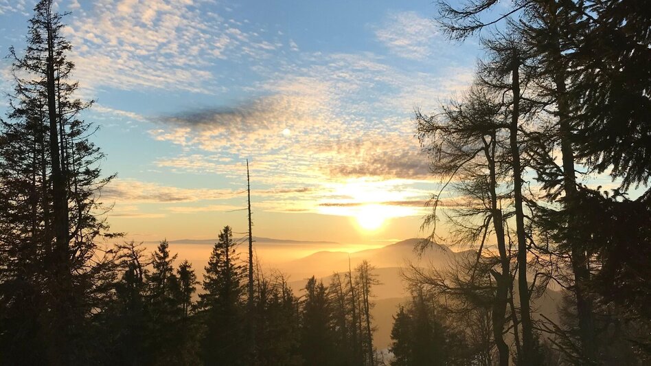 Winter Hiking Winter hike on the Zetz - Touren-Impression #2.4 | © Oststeiermark Tourismus