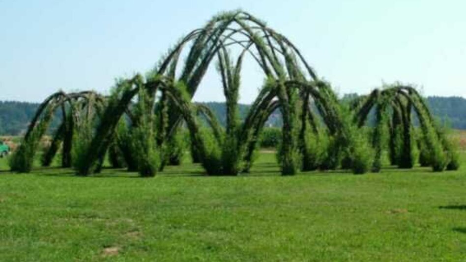 Hiking route FF8 Hundertwassertour Bad Blumau - Touren-Impression #2.10 | © Kurkommission Bad Blumau