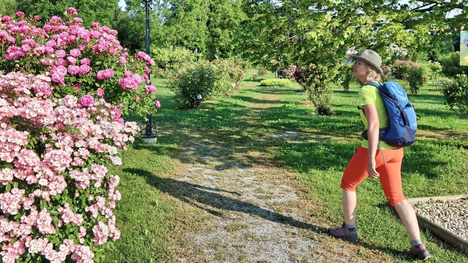 Theme path Path of roses (Rosenweg) St. Stefan/Rosental - Touren-Impression #2.1 | © Thermen- & Vulkanland