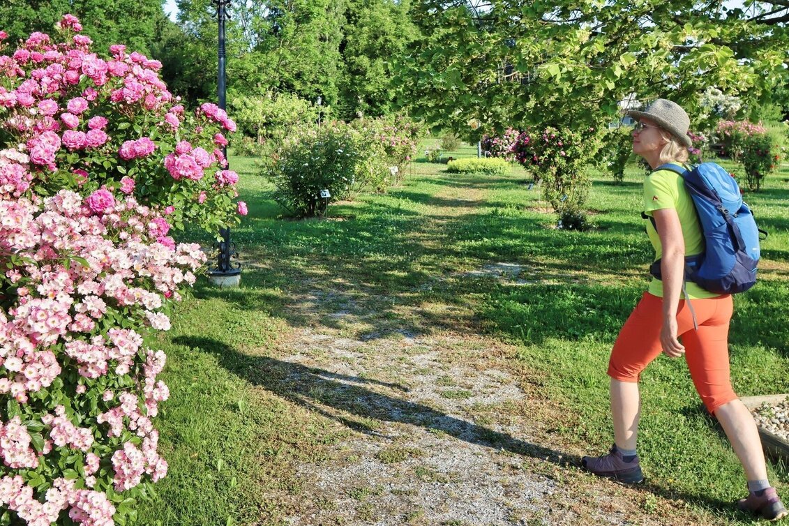 Theme path Path of roses (Rosenweg) St. Stefan/Rosental - Touren-Impression #1 | © Thermen- & Vulkanland