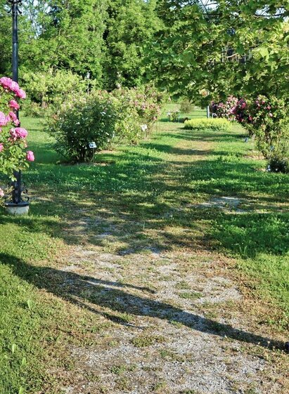 Beim Rosarium | © Thermen- & Vulkanland | Weges OG | © Thermen- & Vulkanland