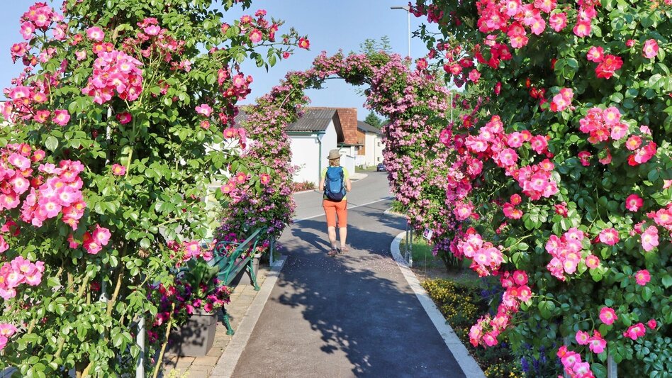 Theme path Path of roses (Rosenweg) St. Stefan/Rosental - Touren-Impression #2.3 | © Thermen- & Vulkanland