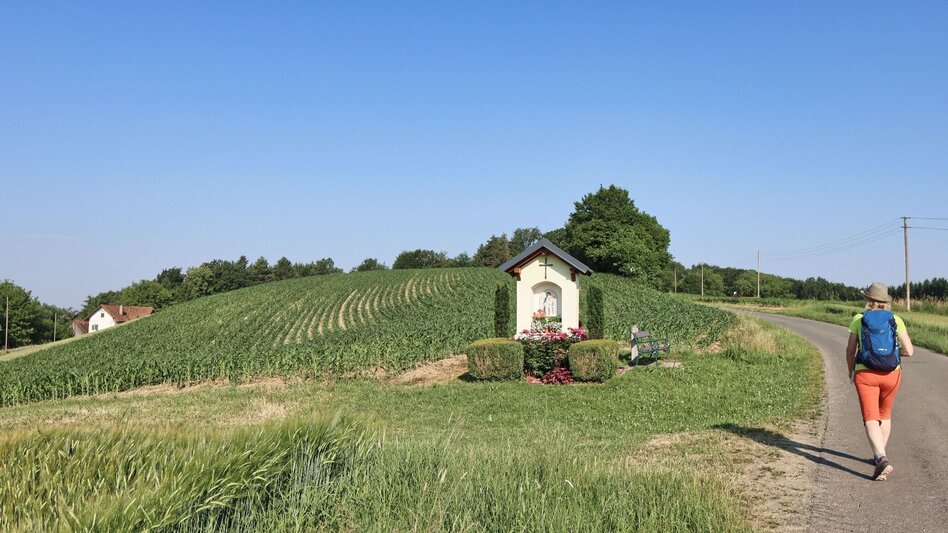Theme path Path of roses (Rosenweg) St. Stefan/Rosental - Touren-Impression #2.6 | © Thermen- & Vulkanland