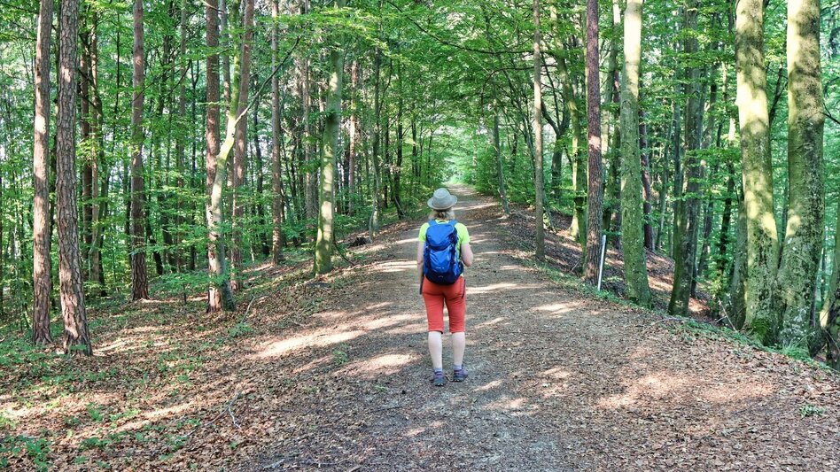 Theme path Path of roses (Rosenweg) St. Stefan/Rosental - Touren-Impression #2.9 | © Thermen- & Vulkanland