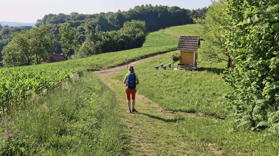 Theme path Path of roses (Rosenweg) St. Stefan/Rosental - Touren-Impression #2.10 | © Thermen- & Vulkanland