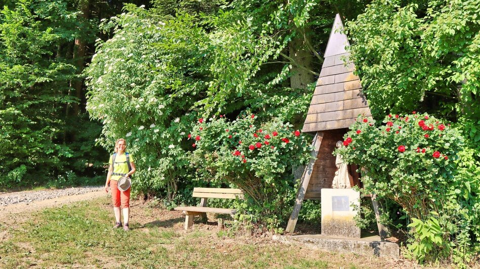 Theme path Path of roses (Rosenweg) St. Stefan/Rosental - Touren-Impression #2.12 | © Thermen- & Vulkanland