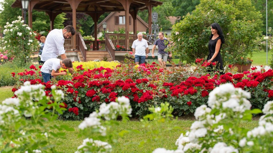 Theme path Path of roses (Rosenweg) St. Stefan/Rosental - Touren-Impression #2.17 | © Gemeinde St. Stefan im Rosental