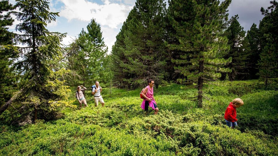 Wanderung Kreischbergrunde - Touren-Impression #2.1 | © Tourismusverband Murau