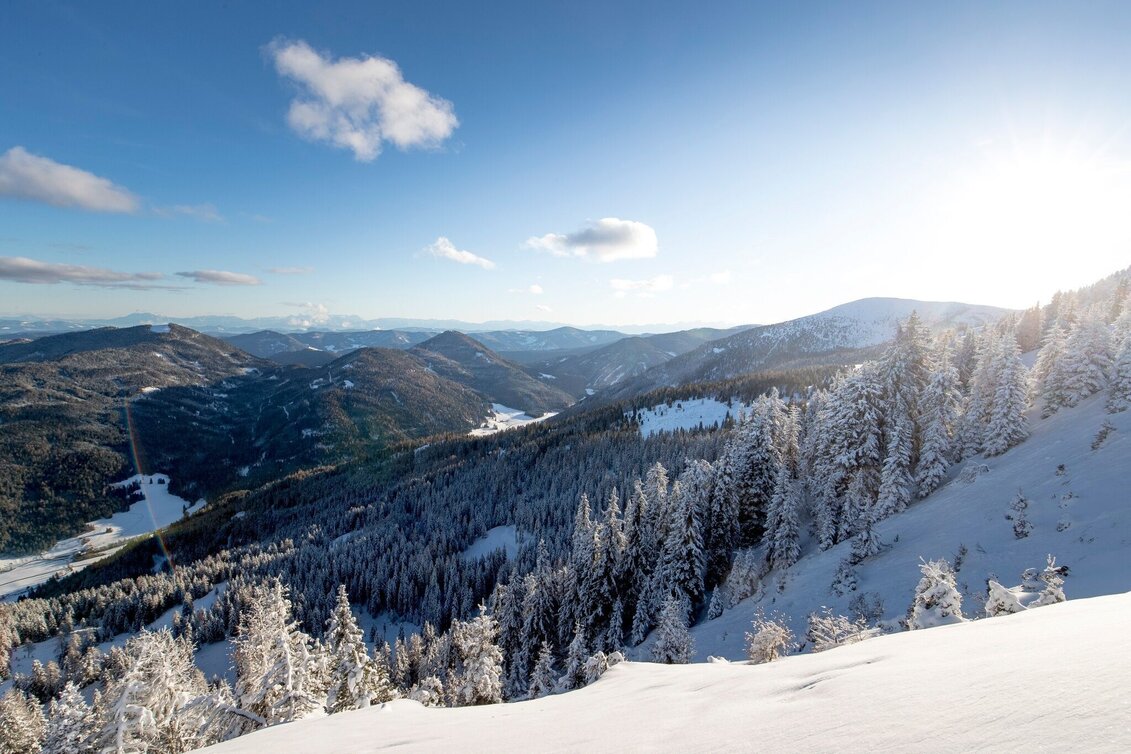 Winterwandern Frauenalpe - Touren-Impression #1 | © Tourismusverband Murau