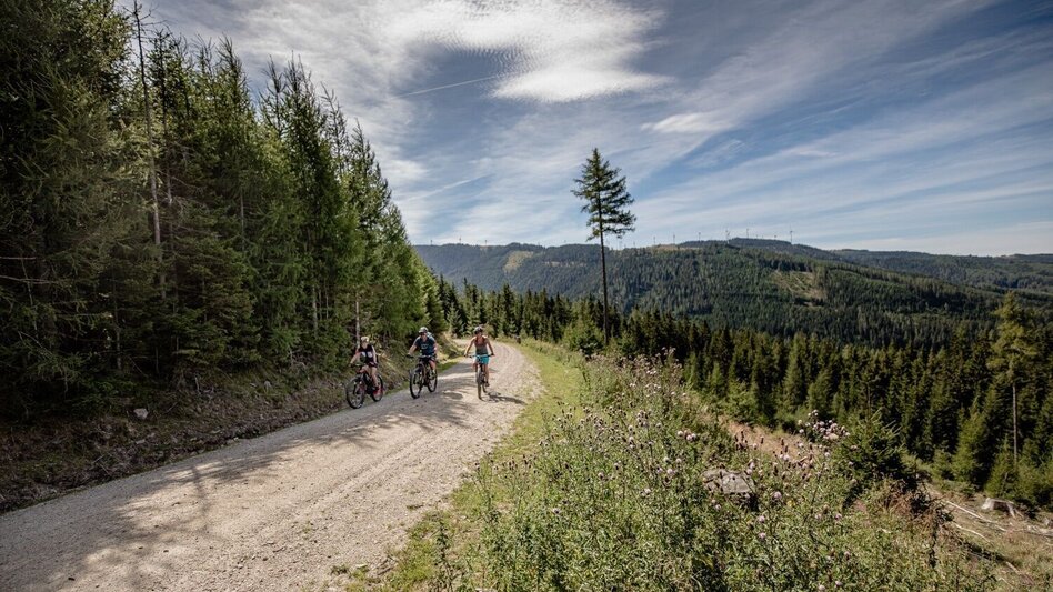 Mountain Biking By mountain bike to the Schwaigerhütte on the Stuhleck - Touren-Impression #2.3 | © TV Hochsteiermark