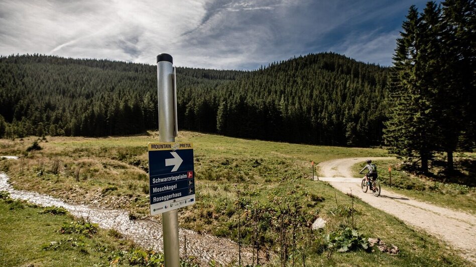 Mountain Biking By mountain bike to the Schwaigerhütte on the Stuhleck - Touren-Impression #2.4 | © TV Hochsteiermark