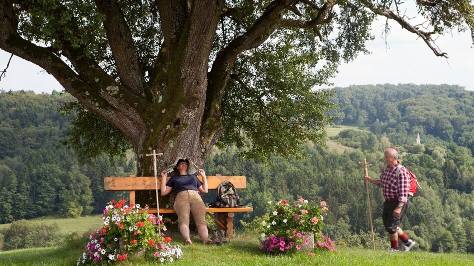 Theme path Path of reflection (Besinnungsweg) in Eichkögl - Touren-Impression #2.11 | © Thermen- & Vulkanland