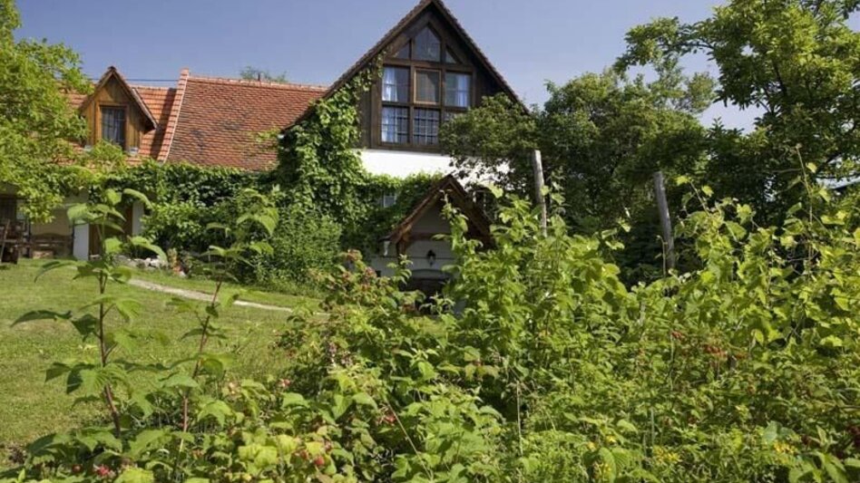 Theme path Kirchbergvitalweg Ortsrunde - Touren-Impression #2.5 | © Unbekannt