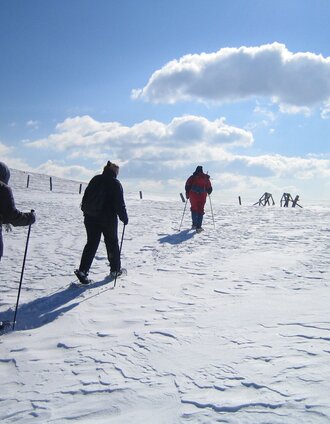 Schneeschuhwandern im oberen Bereich der Grebenzen | Tourismusverband Murau | © Tourismusverband Murau