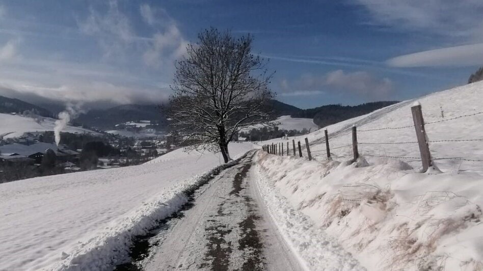 Winterwandern St. Lambrechter Rundwanderweg - Touren-Impression #2.2 | © Tourismusverband Murau