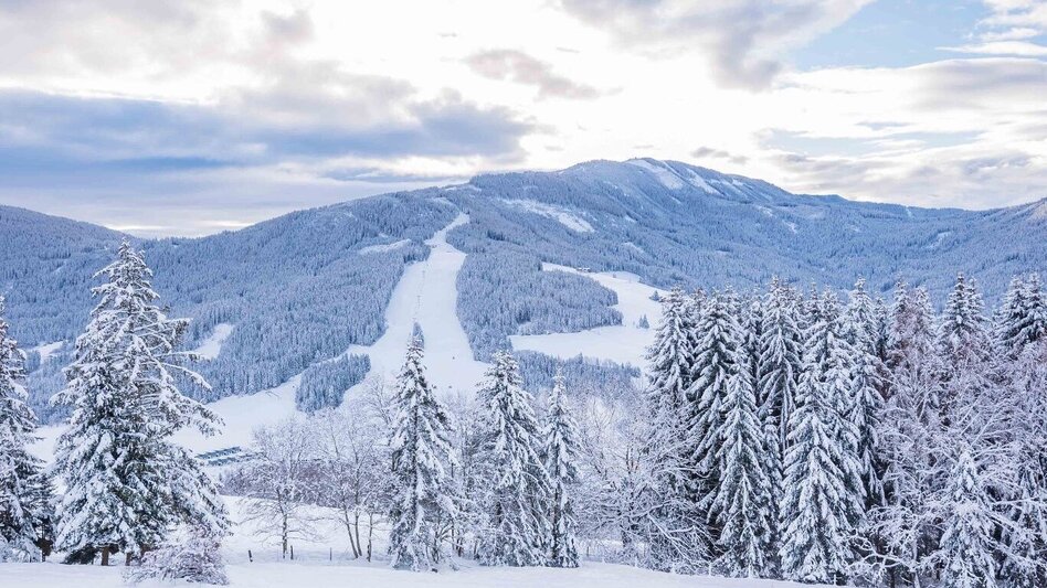Winterwandern St. Lambrechter Rundwanderweg - Touren-Impression #2.3 | © Tourismusverband Murau