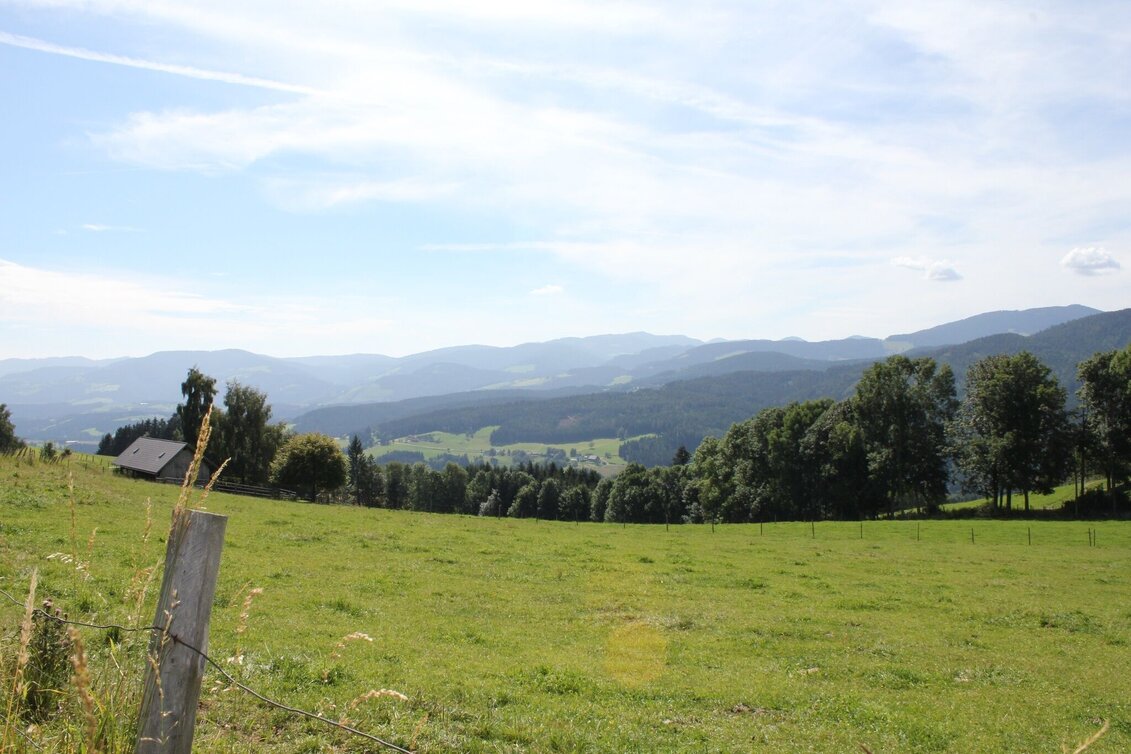Hiking route Long-distance view path, Strallegg - Touren-Impression #1 | © Gemeinde Strallegg