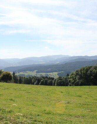 wunderschöne Aussicht | Robert Schafferhofer | © Gemeinde Strallegg