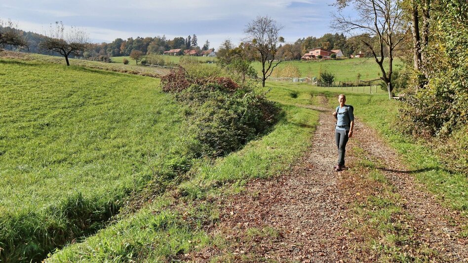 Hiking route Chapel trail (Kapellenweg) Frannach - Touren-Impression #2.4 | © Thermen- & Vulkanland