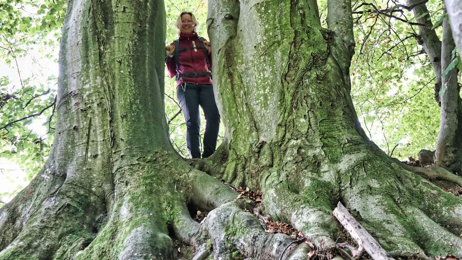 Hiking route Chapel trail (Kapellenweg) Frannach - Touren-Impression #2.7 | © Thermen- & Vulkanland