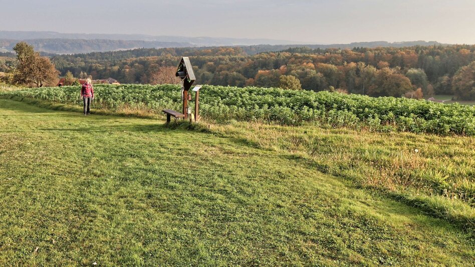 Hiking route Chapel trail (Kapellenweg) Frannach - Touren-Impression #2.10 | © Thermen- & Vulkanland