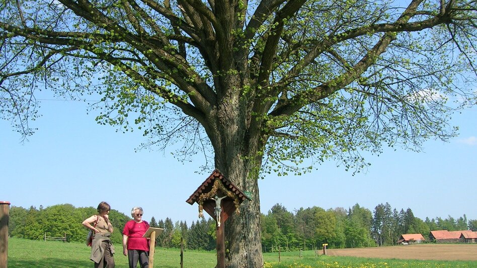 Hiking route Chapel trail (Kapellenweg) Frannach - Touren-Impression #2.14 | © www.spuren.at