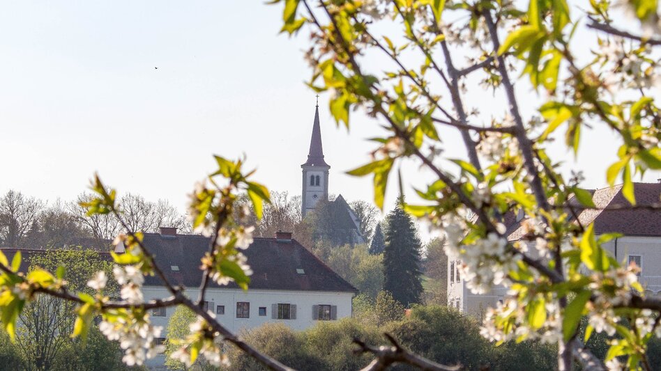 Hiking route Labonca circular route - Touren-Impression #2.8 | © Sandra Brünner