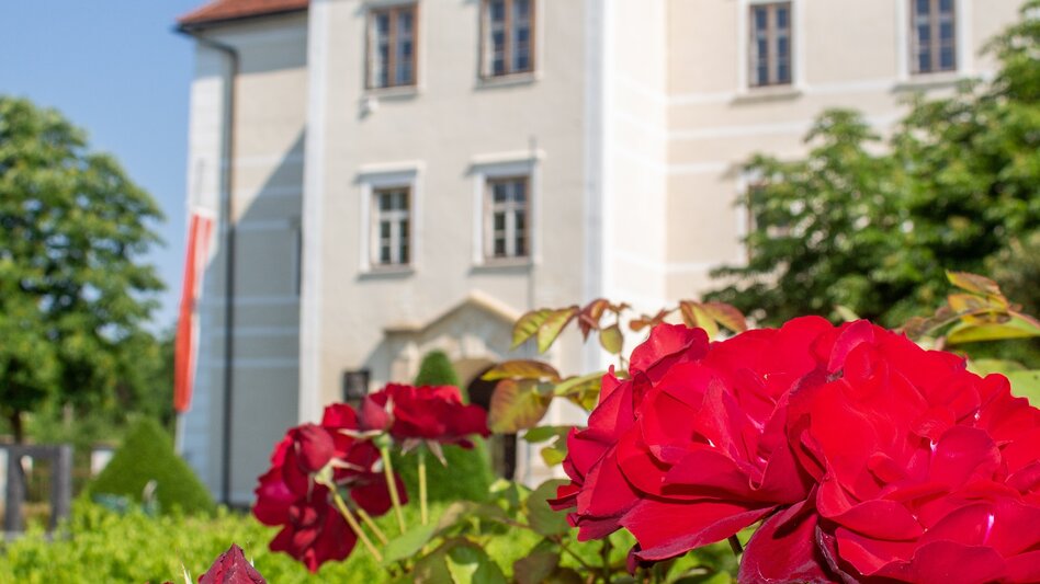 Hiking route Labonca circular route - Touren-Impression #2.4 | © Sandra Brünner