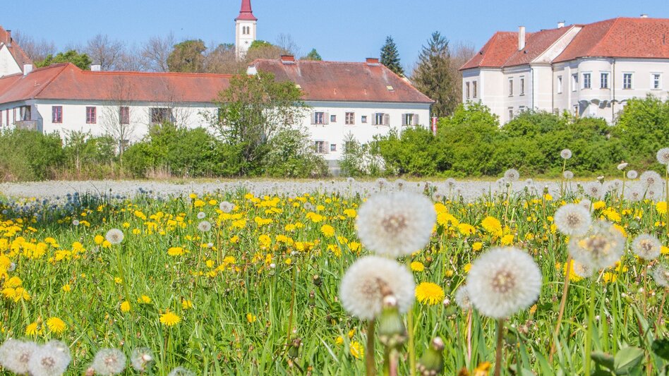 Hiking route Labonca circular route - Touren-Impression #2.5 | © Sandra Brünner