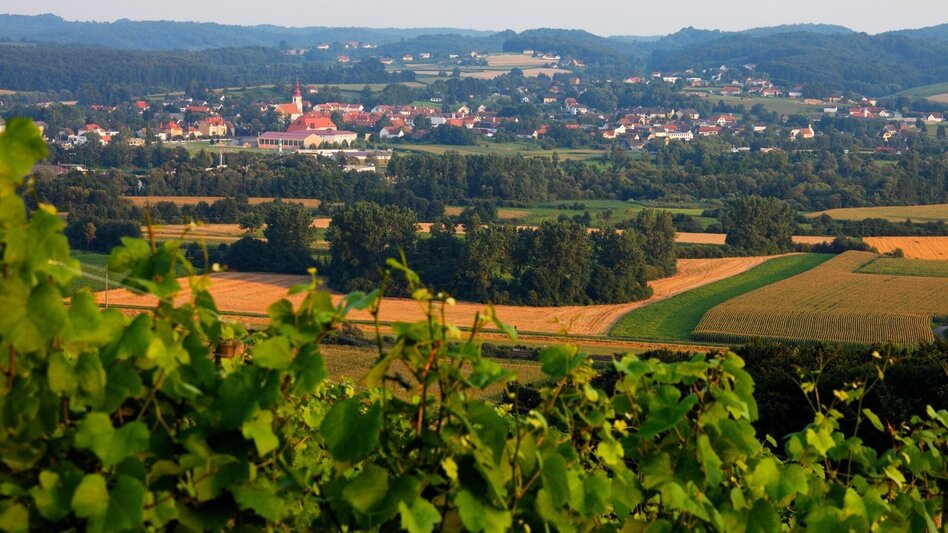 Wanderung Keltischer Lebensbaumweg Pertlstein - Touren-Impression #2.2 | © Thermen- & Vulkanland
