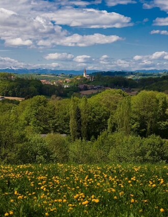 Ausblick ins südoststeirische Hügelland | Marktgemeinde Jagerberg | © Marktgemeinde Jagerberg