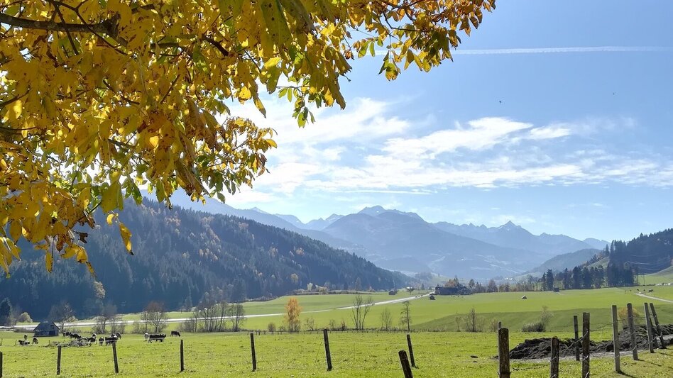 Wanderung Prenten Höhenweg (Nummer 8) - Touren-Impression #2.1 | © Erlebnisregion Schladming-Dachstein
