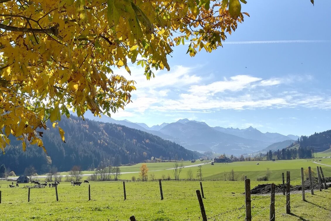 Wanderung Prenten Höhenweg (Nummer 8) - Touren-Impression #1 | © Erlebnisregion Schladming-Dachstein