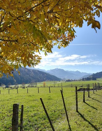 prenten höhenweg (nummer 8)_img_52325818 | Schladming Dachstein - TVB Gröbminger Land | © Erlebnisregion Schladming-Dachstein