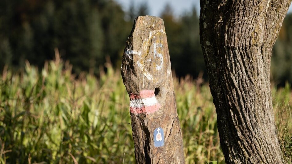 Theme path Perforated stone circuit, Vorau - Touren-Impression #2.7 | © Tourismusverband Oststeiermark