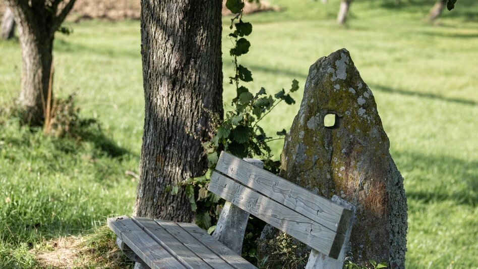 Theme path Perforated stone circuit, Vorau - Touren-Impression #2.8 | © Tourismusverband Oststeiermark