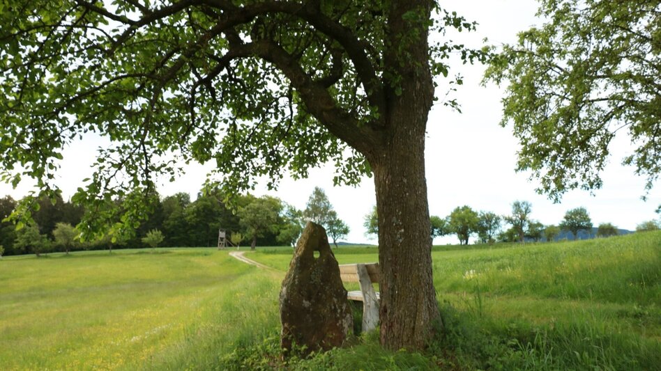 Theme path Perforated stone circuit, Vorau - Touren-Impression #2.5 | © Tourismus Info Vorau
